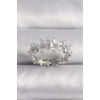 Pirinç Gümüş Renk Zirkon Taşlı Çiçek Model VIP Seri Kadın Yüzük