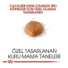 Royal Canin Cavalier King Charles Yetişkin Köpek Maması 1.5 Kg