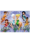 ® 100 Parça Fairies Puzzle