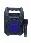 10W Güçlü Ses Performanslı Bluetooth Karaoke Hoparlörü