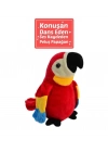 ® 25 CM KONUŞULANI TEKRARLAYAN PAPAĞAN -HLY