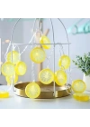 2m 10 Led Pilli Limon Işık