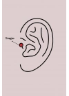316L Çelik Gümüş Renk Zirkon Taşlı Kelebek Model Tragus Piercing