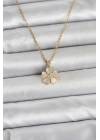 316L Çelik Zincir Gold Renk Yonca Model Kadın Kolye