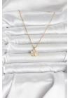 316L Çelik Zincir Gold Renk Yonca Model Kadın Kolye