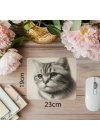 3D Etkili Kalemle Çizilmiş Kedi Mouse Pad - 19x23 cm 2 mm Dikdörtgen İthal Baskılı Mouse Pad