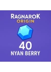 40 Nyan Berry