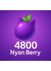 4800 Nyan Berry