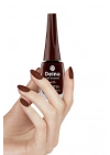 5 Adet Keratinli Besleyici Oje 14 ml SET12