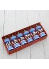 6lı Mavi Mini Atlı Karınca