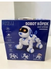 6601 UZK KUMANDALI DANS EDEBİLEN ROBOT KÖPEK