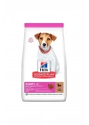 Hills Puppy Small & Mini Kuzu Etli Küçük Irk Yavru Köpek Maması 1+500 Gr Hediyeli