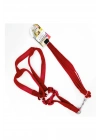 Euro Dog Köpek Uzatma Tasması ve Göğüs Tasması Kırmızı 120 Cm - 454-JCLH734-KIRMIZI-454-JCLH734-KIRM