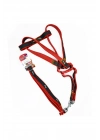 Euro Dog Köpek Uzatma Tasması ve Göğüs Tasması Takımı Kırmızı/Siyah 25 Mm 120 Cm - 454-JCLH736-KIRMI