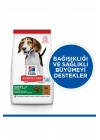 Hills Puppy Kuzu Etli Yavru Köpek Maması 12+2 Kg Hediyeli