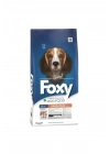Foxy Balıklı Yetişkin Köpek Maması 15 Kg