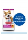 Hills Adult Small Mini Tavuklu Küçük Irk Köpek Maması 3 Kg