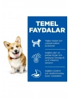 Hills Adult Small Mini Tavuklu Küçük Irk Köpek Maması 3 Kg