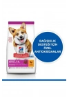 Hills Small & Mini Adult Tavuklu Köpek Maması 6 Kg