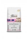Felicia Hipoalerjenik Kuzu Etli Anne Ve Yavru Kedi Maması 12 Kg