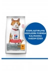 Hills Young Sterilised Tavuklu Kısırlaştırılmış Kedi Maması 8+2 Kg