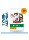 Hills Kitten Tavuklu Yavru Kedi Maması 3 Kg