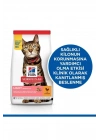 Hills Light Tavuklu Yetişkin Diyet Kedi Maması 3 Kg