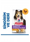 Hills Adult Sensitive Skin Hassas Köpekler İçin Tavuklu Yetişkin Köpek Maması 14 Kg