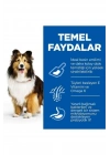 Hills Adult Sensitive Skin Hassas Köpekler İçin Tavuklu Yetişkin Köpek Maması 14 Kg