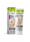 Garden Mix Multivitamin Kedi Malt Macunu 100 Gr - Petshopundan