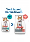 Hills Somonlu Kısırlaştırılmış Yetişkin Kedi Maması 8+2 Kg Hediyeli