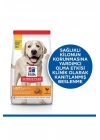 Hills Light Büyük Irk Tavuklu Diyet Köpek Maması 14 Kg