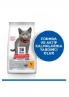 Hills Sterilised Kitten Tavuklu Kısırlaştırılmış Yavru Kedi Maması 1.5 Kg