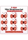 9’lu Uğur Böceği Ateş Böceği Kostüm Seti – Kanat Taç Asa
