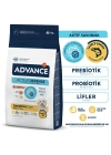 Advance Dog Mını Sensıtıve 7kg