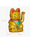 Altın Rengi Şanslı Kedi