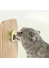 ®  Avokado Model Yapışkanlı Kedi Oyuncağı Yenilebilir Kedi Nanesi Otu