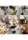 Avokado Şeklinde Kedi Naneli ve Mama Hazneli Kedi Oyuncağı