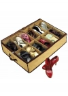 Ayakkabı Saklama Çantası 12 Bölmeli Shoes Under