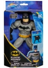 Batman Yüzme Arkadaşları - 6067008