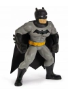 Batman Yüzme Arkadaşları - 6067008