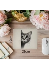 Beyaz Zemin Üzerine El Çizimi Kedi Mousepad - 19x23 cm 2 mm Dikdörtgen İthal Baskılı Mouse Pad