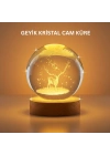 ® 3D Geyik Desenli Kristal Küre USB Işıklı Ahşap Tabanlı Oda Lambası