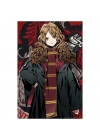 Hermione Granger Figür ve 300 Parça Puzzle