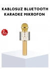® Karaoke Mikrofonu Bluetooth USB AUX Girişli Yankı Efektli