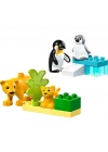 ® LED10442   Duplo Penguen ve Aslanlar