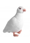 ® Peluş Güvercin 30 cm