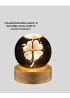 Yonca Figürlü Cam Küre USB Işıklı Ahşap Tabanlı Dekoratif Masa Lambası