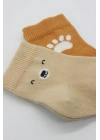 Bistyle Bear Penye Soket Çorap 2Li BS10116 Bej