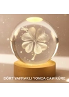 Bitki Temalı LED Işıklı Cam Küre Ahşap Standlı Modern Gece Lambası